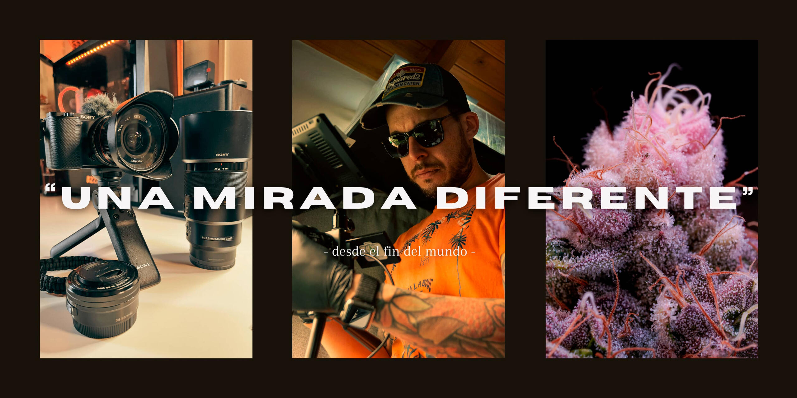 Fotografía macro, cannabis medicinal, naturaleza y vida en el fin del mundo.